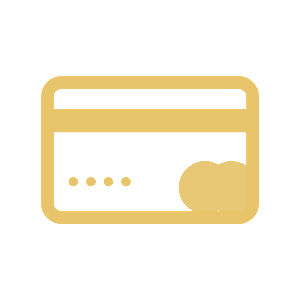 Debit card icon